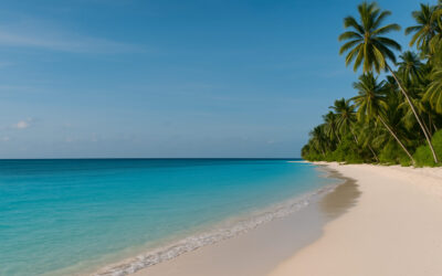 Zanzibar : Séjour à Zanzibar – Ce qu’il faut savoir avant de partir