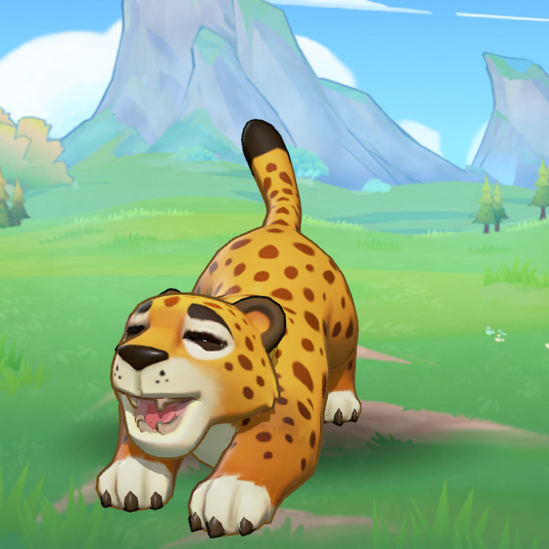 guepard Guépard (Cheetah)